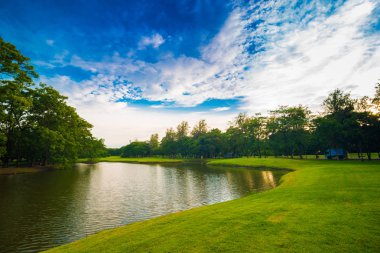 Gölet ile kamu yeşil ağaç parkı
