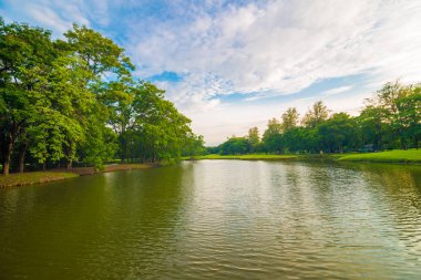 Gölet ile kamu yeşil ağaç parkı