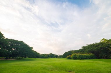 Gölet ile kamu yeşil ağaç parkı