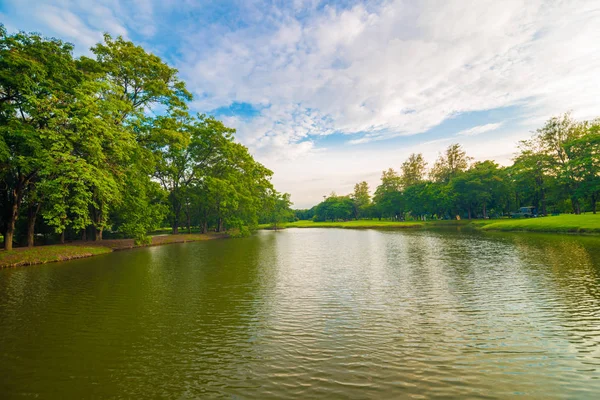 Gölet ile kamu yeşil ağaç parkı