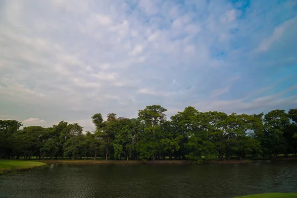Parque público de árboles verdes con estanque — Foto de Stock
