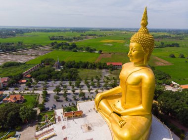 Pirinç tarlası ile Budizm tapınağında altın buda heykeli
