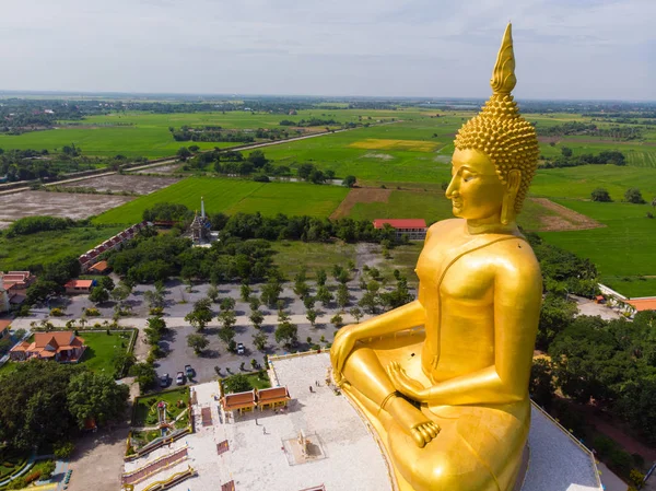 Estatua de buda dorada en templo budista con plantación de arroz — Foto de Stock