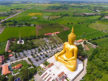 Pirinç tarlası ile Budizm tapınağında altın buda heykeli