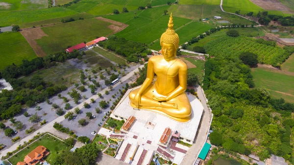 Estatua de buda dorada en templo budista con plantación de arroz — Foto de Stock