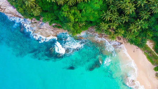 Tropikalny Las na plaży morskiej wyspy — Zdjęcie stockowe