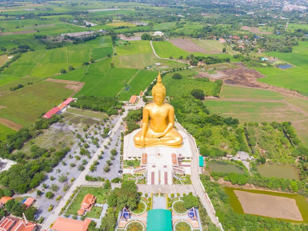 Estatua de buda dorada en templo budista con plantación de arroz — Foto de Stock