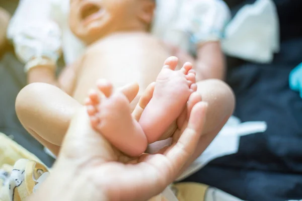 Baby feet holding by father hand massage selective focus — Stock Photo, Image