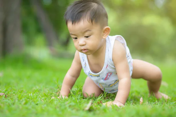 Carino sorridente poco asiatico ragazzo strisciare su verde erba — Foto Stock