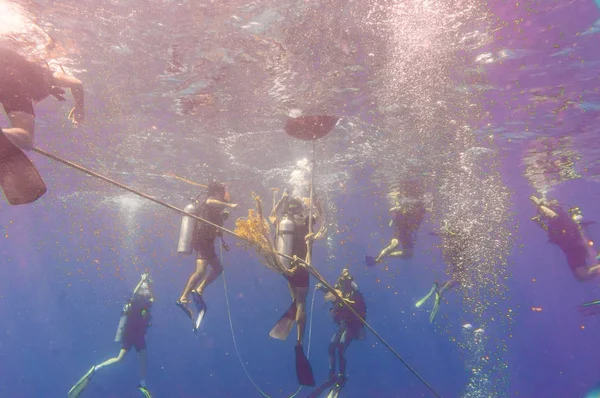 Scuba diving water sport in deep sea — Stock Photo, Image