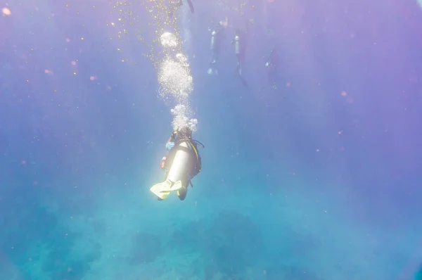 Plongée sous-marine en haute mer — Photo