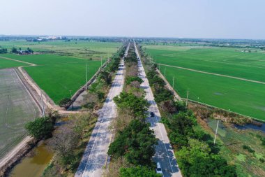 Kırsal yol yeşil pirinç tarlasından geçiyor.