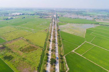 Kırsal yol yeşil pirinç tarlasından geçiyor.