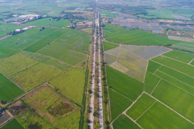 Kırsal yol yeşil pirinç tarlasından geçiyor.