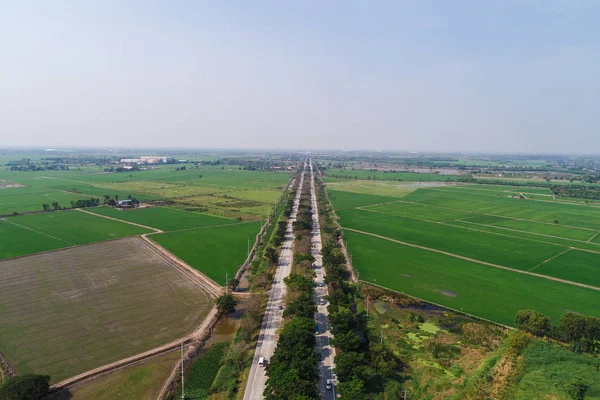 Kırsal yol yeşil pirinç tarlasından geçiyor.