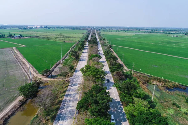 Kırsal yol yeşil pirinç tarlasından geçiyor.