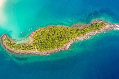 Deniz adasında yeşil palmiye ağacı turkuaz su