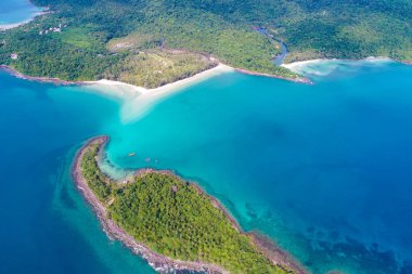 Deniz adasında yeşil palmiye ağacı turkuaz su