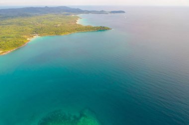Deniz adasında yeşil palmiye ağacı turkuaz su