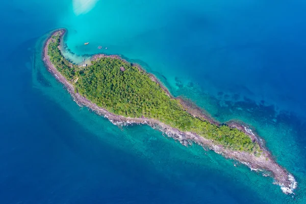 Palmera verde en la isla del mar agua turquesa —  Fotos de Stock