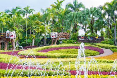 Renkli botanik çiçek bahçesi