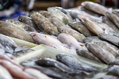 Uzun kuyruklu ton balığı yerel pazarda satılıyor.