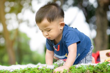 Bebek çocuk piknik paspasında yeşil çimlerde sürünüyor