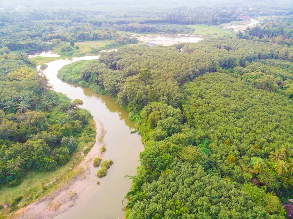 Curva de río en selva tropical verde —  Fotos de Stock
