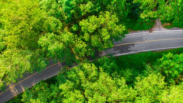 Asphalt road curve in tropical green forest