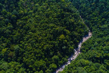 Derin yağmur ormanlarında hava manzaralı şelale