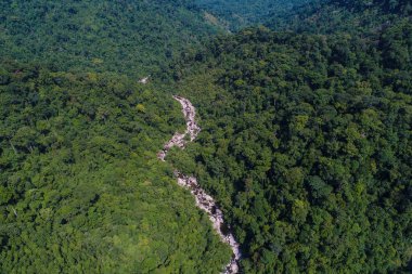 Derin yağmur ormanlarında hava manzaralı şelale