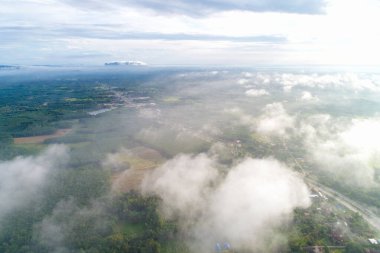 Tropik dağ ormanı sabahı sisli
