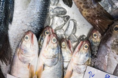 Taze balık ürünleri pazarda satılıyor.