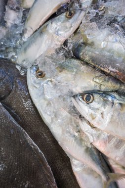 Taze balık ürünleri pazarda satılıyor.