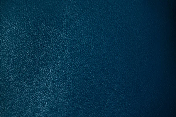 Detail of blue genuine leather pattern