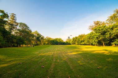 Ağaçlı günbatımı parkı yeşil çimen