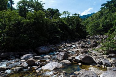 Tropikal yağmur ormanlarındaki şelale manzarası