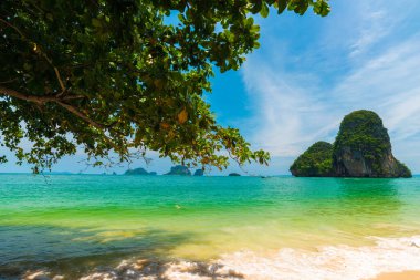Krabi Tayland 'daki Railay plajı tropikal orman adası