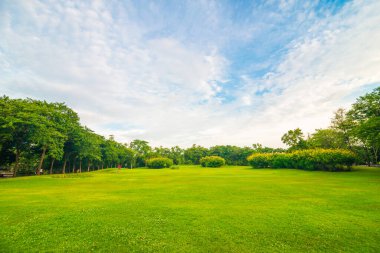 Yeşil kamusal park çayırı Boş zaman manzarası için mavi gökyüzü