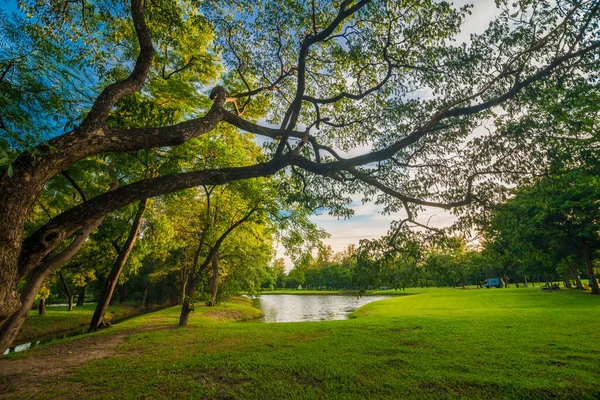Zelená Veřejná Park Louka Modrá Obloha Pro Volný Čas Krajiny — Stock fotografie