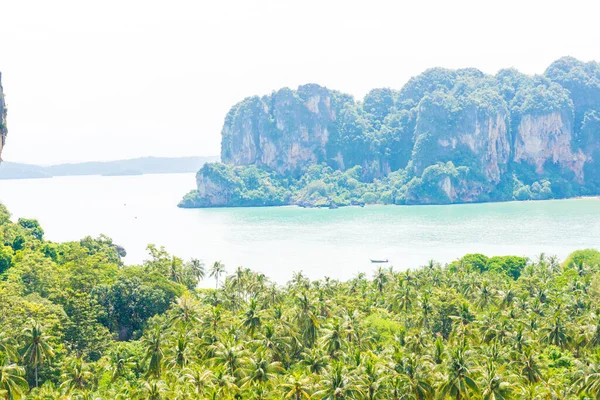 Phi Phi Île Avec Cocotier Vert Belvédère Thaïlande — Photo