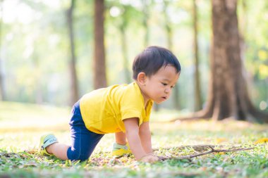 Yeşil çayırlarda sürünen komik Asyalı çocuk. Gün batımı bebek egzersizi.