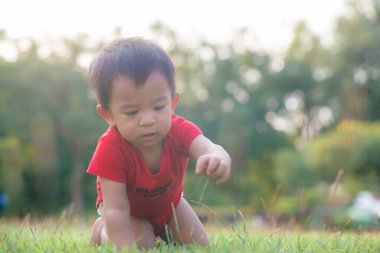 Yeşil çayırlarda sürünen komik Asyalı çocuk. Gün batımı bebek egzersizi.