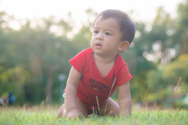 Yeşil çayırlarda sürünen komik Asyalı çocuk. Gün batımı bebek egzersizi.
