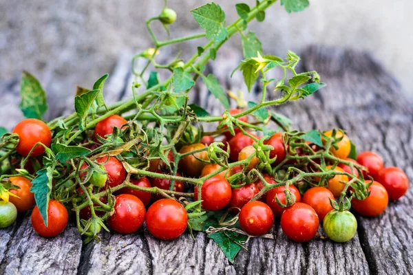 Red Ripe Fresh Organic Tomato Rustic Brown Wood Background Vitamin — Stock Photo, Image