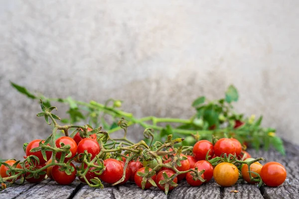 Red Ripe Fresh Organic Tomato Rustic Brown Wood Background Vitamin — Stock Photo, Image