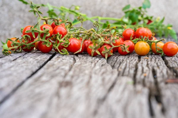 Red Ripe Fresh Organic Tomato Rustic Brown Wood Background Vitamin — Stock Photo, Image