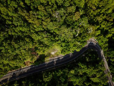 Hava manzaralı asfalt yol tropikal yağmur ormanları dağ manzarası yeryüzü taşımacılığı arka planı
