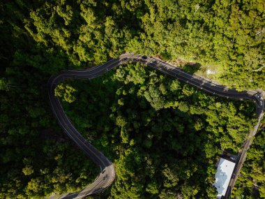 Hava manzaralı asfalt yol tropikal yağmur ormanları dağ manzarası yeryüzü taşımacılığı arka planı