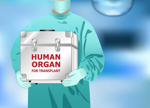 doctor holds in hands box with human organ for transplant, horizontal vector illustration